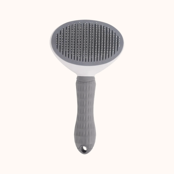 Brosse autonettoyante